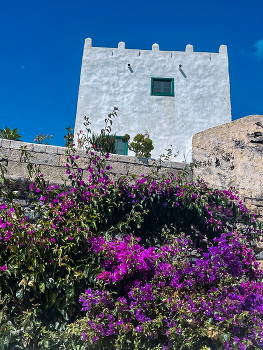 &nbsp; / Flowers, white tower &amp; the moon.