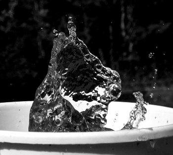 &nbsp; / A quiescent water hippo taking a calming bath