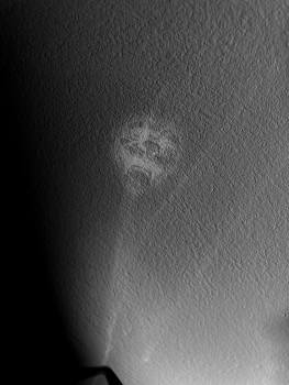  / Seen in dreams