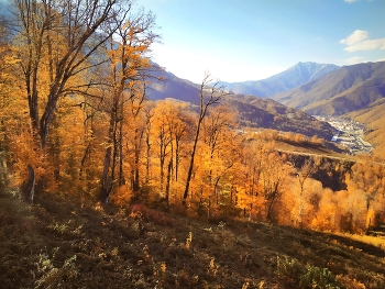 Осени дыхание / Солнечный день , осень в горах