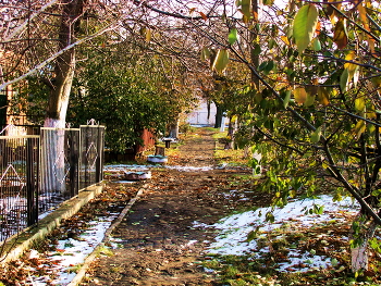 Осенний мотив / Осенняя улица усыпанная опавшими листьями и снегом
