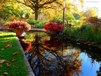 Planten un Blomen Hamburg / Слайд-шоу &quot;Парк цветов летом&quot;

https://www.youtube.com/watch?v=glVWjqRqZr0

Слайд-шоу &quot;Парк цветов весной&quot;

https://www.youtube.com/watch?v=kJVKlWcQxCg

Слайд-шоу &quot;Парк цветов осенью&quot;

https://www.youtube.com/watch?v=_Q7gRXGUa5A

Слайд-шоу &quot;Розы&quot;

https://www.youtube.com/watch?v=2jSTxDgGqsI

Слайд-шоу &quot;Цветы&quot;

https://www.youtube.com/watch?v=JYadETNgWMY
Planten un Blomen Hamburg

https://www.youtube.com/watch?v=KTC7lcq_V6g

Wilhelmsburger Inselpark Hamburg

https://www.youtube.com/watch?v=dNOCQPn2sZA

Dahliengarten Hamburg

https://www.youtube.com/watch?v=YIZZSauDE3w

Rosengarten. Planten un Blomen Hamburg:

https://www.youtube.com/watch?v=tKJmmXxh-1U&amp;t=8s

Слайд-шоу &quot;Парк цветов летом&quot;

https://www.youtube.com/watch?v=glVWjqRqZr0

Слайд-шоу &quot;Парк цветов весной&quot;

https://www.youtube.com/watch?v=kJVKlWcQxCg

Слайд-шоу &quot;Парк цветов осенью&quot;

https://www.youtube.com/watch?v=_Q7gRXGUa5A

Слайд-шоу &quot;Розы&quot;

https://www.youtube.com/watch?v=2jSTxDgGqsI

Слайд-шоу &quot;Цветы&quot;

https://www.youtube.com/watch?v=JYadETNgWMY