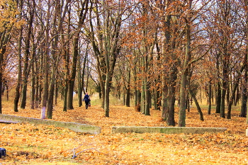 По ковру из жёлтых листьев... / Усыпан опавшими листьями парк