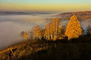 Туман осеннего утра / Кузбасс, Кемеровская область
