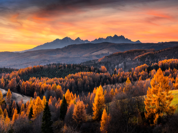 &nbsp; / Autumn sunset in Slovakia with High Tatras in the background