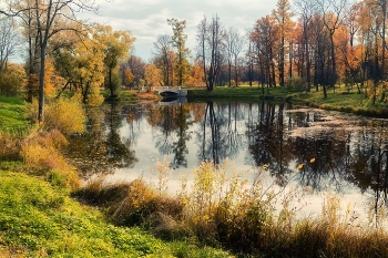 В Александровском парке / Царское Село