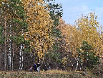 Красива юная осень. / &quot; &quot; &quot;