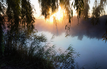 Рассвет на берегу реки / Туманное утро