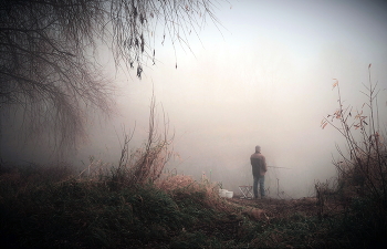 В туманном ожидании. / туман человек деревья