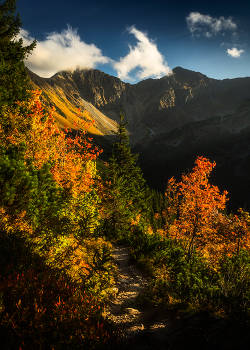 &nbsp; / Autumn colors in the mountains (High Tatras in Slovakia)