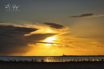 &nbsp; / Goldene Stimmung an der Nordsee.