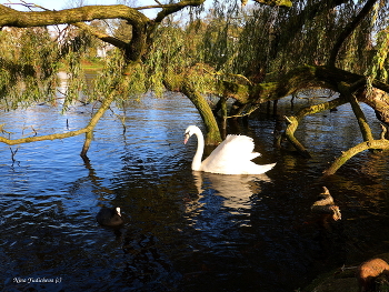 Alster Hamburg / Озеро Альстер (Alster Hamburg) - сердце Гамбурга, любимое место отдыха гамбуржан и гостей города. Видео:

https://www.youtube.com/watch?v=FUnJ6Mt1G68

Alstervergnügen 2017. Hamburg
https://www.youtube.com/watch?v=PZXeb1sykTk

Alster am Abend
https://www.youtube.com/watch?v=YdvFUdm0nQ0

Alster Hamburg
https://www.youtube.com/watch?v=shvDCXIyNb0&amp;pbjreload=10

Читайте в моем блоге о маршруте на пароме :

https://zen.yandex.ru/media/id/5ee66fc9c64be97c15fe75fd/letniaia-progulka-po-elbe-5f1b35cab65d2250ab15c180

Парусники в Гамбурге:

https://www.youtube.com/watch?v=JT5YfxP005o

Видео &quot;Прогулка по Эльбе&quot;: https://www.youtube.com/watch?v=qL1e1j9B8Vk

Лайнеры в Гамбурге:

https://www.youtube.com/watch?v=VU8V0Jvqpy0

https://www.youtube.com/watch?v=_8iY4QcGL-A&amp;t=8s https://www.youtube.com/watch?v=EVMHpH6SJxA

Корабли на Эльбе:

https://www.youtube.com/watch?v=DA7DProSV6o&amp;list=UUEOp3amNaNT0205lPmdFi8w&amp;index=19

Портовый центр и складской район Гамбурга:

https://www.youtube.com/watch?v=i0kxa-sex6o

https://www.youtube.com/channel/UCEOp3amNaNT0205lPmdFi8w/videos?

https://www.youtube.com/watch?v=IGn-NNqkBL0

https://www.youtube.com/watch?v=dZ1W9amrFdg