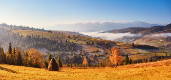 Ноябрьская панорама / ***