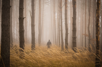 Ноябрьский туман / утро ноября