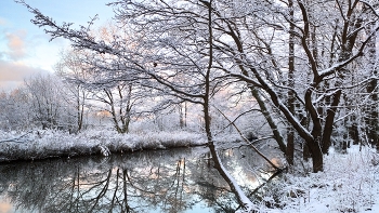 Начало зимы. / 1 декабря-начало зимы и она заявила о себе белым пушистым снегом, морозным воздухом и приятной зимней свежестью! 
Прекрасное начало!..