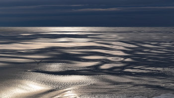 Blue Horizon / Февральский вечер в Охотском море.