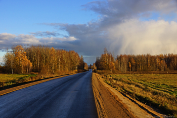Синяя дорога / Юг Костромской области. Конец октября.