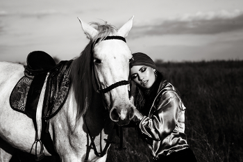  / horse in the wood