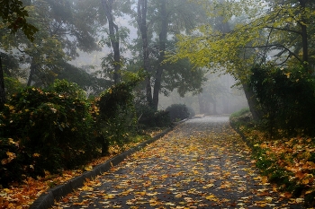 В парке осеннем...... / Железноводск. Октябрь