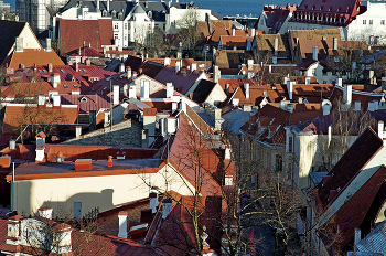 Крыши старого города (Таллинн) / вид с Вышгорода