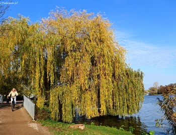 Alster Hamburg / https://www.youtube.com/watch?v=YdvFUdm0nQ0&amp;list=PLVht4TW8GcgPmSozBwFnZqc7mDa-yrlxz
https://www.youtube.com/watch?v=shvDCXIyNb0&amp;list=PLVht4TW8GcgPmSozBwFnZqc7mDa-yrlxz&amp;index=2
https://www.youtube.com/watch?v=NtnlTtRceUs&amp;list=PLVht4TW8GcgPmSozBwFnZqc7mDa-yrlxz&amp;index=3
https://www.youtube.com/watch?v=PZXeb1sykTk&amp;list=PLVht4TW8GcgPmSozBwFnZqc7mDa-yrlxz&amp;index=6
https://www.youtube.com/watch?v=FUnJ6Mt1G68&amp;list=PLVht4TW8GcgPmSozBwFnZqc7mDa-yrlxz&amp;index=7
https://www.youtube.com/watch?v=FUnJ6Mt1G68&amp;list=PLVht4TW8GcgPmSozBwFnZqc7mDa-yrlxz&amp;index=8
https://www.youtube.com/watch?v=rfwK750jMcs&amp;list=PLVht4TW8GcgPmSozBwFnZqc7mDa-yrlxz&amp;index=10