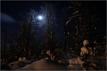 Лунная соната / Ночная съёмка