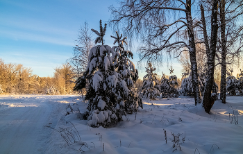 Декабрь, солнце и мороз.... / 11 декабря 2021 года, восточное Подмосковье, Дрезна....