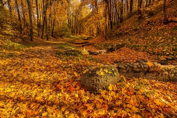 Осенний парк / ***