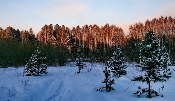 *Зимним утром.** / Томская область.