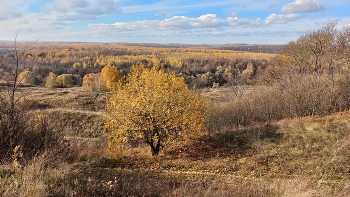 Осенний пейзаж в Зарайском районе (Московская область) / Осенний пейзаж в Зарайском районе (Московская область)