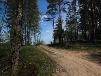 Лесная дорога / Лесная дорога