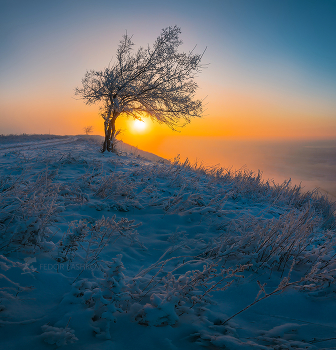 Тёплое солнце / Рассвет на склоне горы Стрижамент. 
Кочубеевский район. Ноябрь, 2021 г.
Из фотопроекта «Открывая Ставрополье».