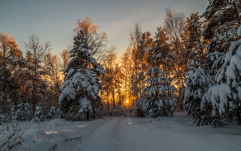 Декабрь, солнце и мороз 05 / 11 декабря 2021 года, восточное Подмосковье, Дрезна....