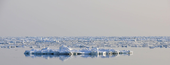 ice of horizon / Весенний штиль в Охотском море. Снято с судна.