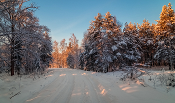 Декабрь, солнце и мороз 07 / 11 декабря 2021 года, восточное Подмосковье, Дрезна...