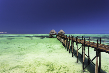 &nbsp; / Zanzibar Island Jetty Bar surrounded by crystal clear seawater on a blue-sky sunshine day in Tanzania, Africa