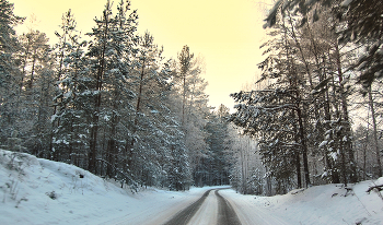 Дорога в холодный зимний лес / Дорога в холодный зимний лес