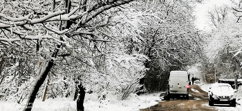 Первый снег / Симферополь после ночного урагана 1 декабря 2021г-снег и штормовой ветер