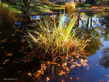 Planten un Blomen Hamburg / Planten un Blomen Hamburg

https://www.youtube.com/watch?v=KTC7lcq_V6g

Wilhelmsburger Inselpark Hamburg

https://www.youtube.com/watch?v=dNOCQPn2sZA

Dahliengarten Hamburg

https://www.youtube.com/watch?v=YIZZSauDE3w

Rosengarten. Planten un Blomen Hamburg:

https://www.youtube.com/watch?v=tKJmmXxh-1U&amp;t=8s

Слайд-шоу &quot;Парк цветов летом&quot;

https://www.youtube.com/watch?v=glVWjqRqZr0

Слайд-шоу &quot;Парк цветов весной&quot;

https://www.youtube.com/watch?v=kJVKlWcQxCg

Слайд-шоу &quot;Парк цветов осенью&quot;

https://www.youtube.com/watch?v=_Q7gRXGUa5A

Слайд-шоу &quot;Розы&quot;

https://www.youtube.com/watch?v=2jSTxDgGqsI

Слайд-шоу &quot;Цветы&quot;

https://www.youtube.com/watch?v=JYadETNgWMY