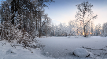 Морозное утро в Баташевском саду / Тула