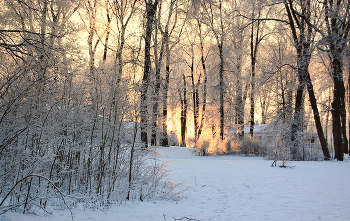 В гости к Снежной Королеве / Выпал снег, пришёл мороз и иней окутал природу, зимнее вечернее солнце подсветило всю эту красоту в усадьбе.