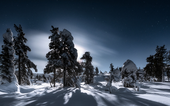Прогулки в лунном свете / В ожидании полярного сияния при свете полной Луны.