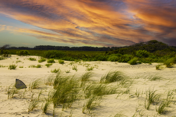 &nbsp; / The Beautiful Sunset on the Beach, is a beautiful sunset taken at Folly Beach, in Folly Beach, South Carolina.