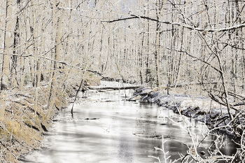 &nbsp; / The Winter Scene, is captured at Cooper Creek Park after the Winter Storm of 2014, in Columbus, Georgia.