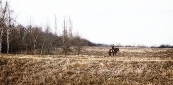 Загородная прогулка / ...