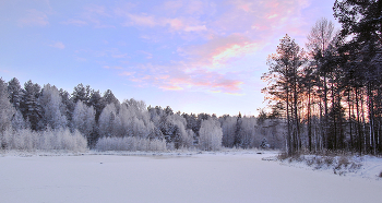 Волшебный зимний лес на закате / Волшебный зимний лес на закате на берегу озера