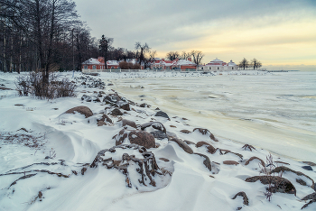 Зима в Петергофе. / Декабрь 2021.