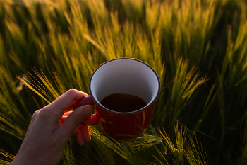 &nbsp; / Photo of a filter coffee cup taken at sunrise in Ukraine