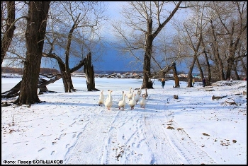Деревня / Зимняя деревня на Урале