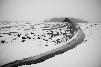 Оттепель. / Чуть выше нуля и туман - идеальные условия для съёмки суровых зимних пейзажей .